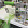 Компания DOLLOR SEWING MACHINE CO., LTD. на CISMA 2025.